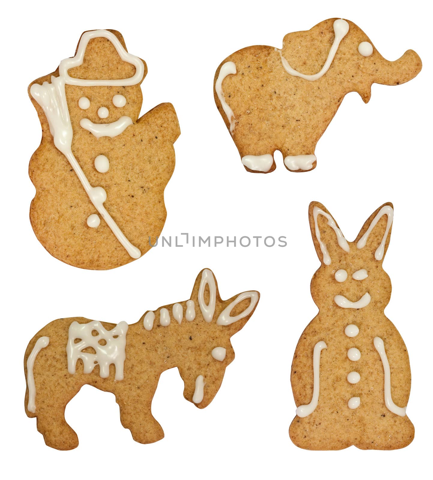 Gingerbread cookies with different shapes and icing