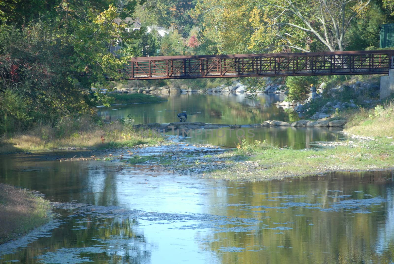 A calm stream with a bridge over it and a fisherman in the stream