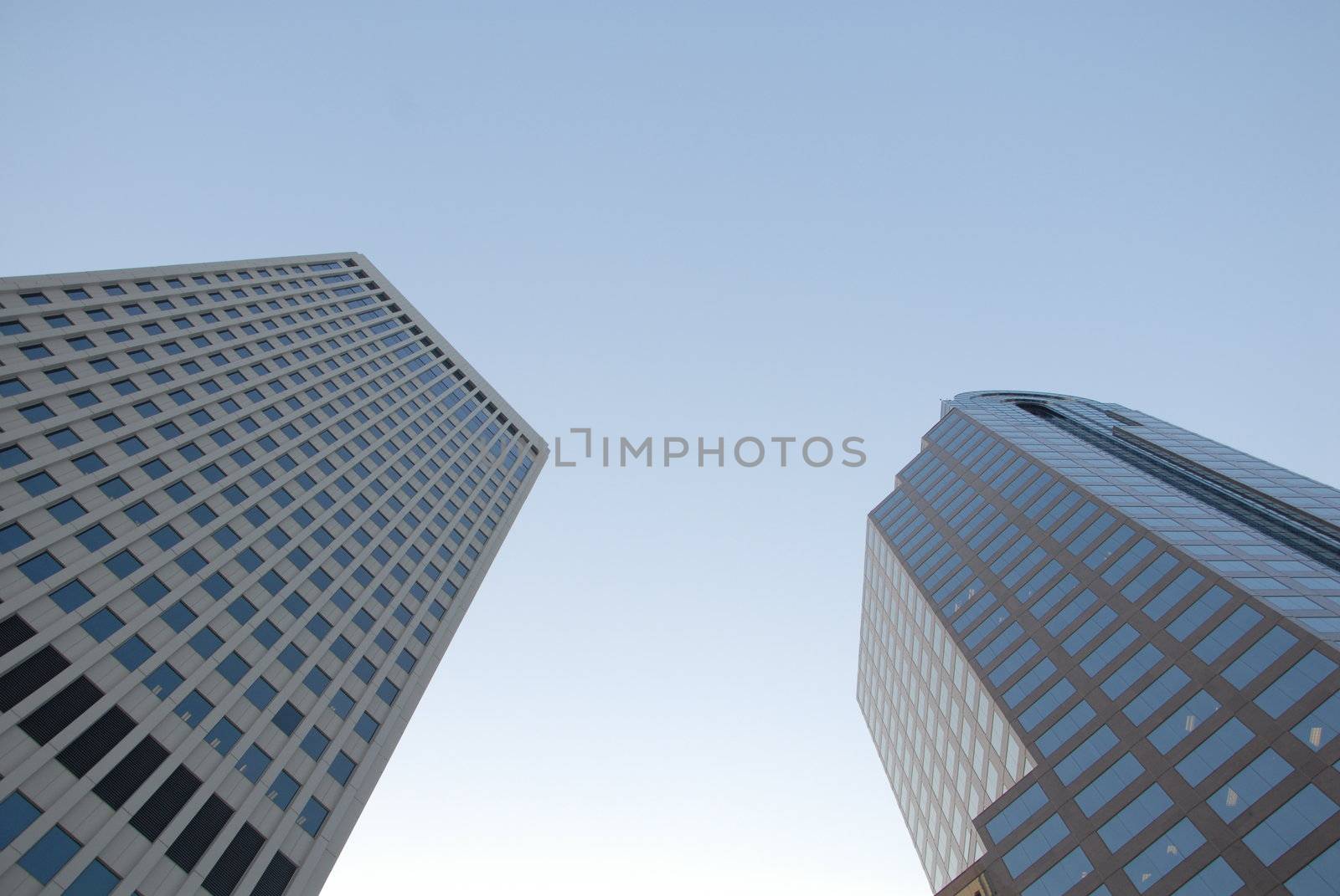 Two tall by northwoodsphoto