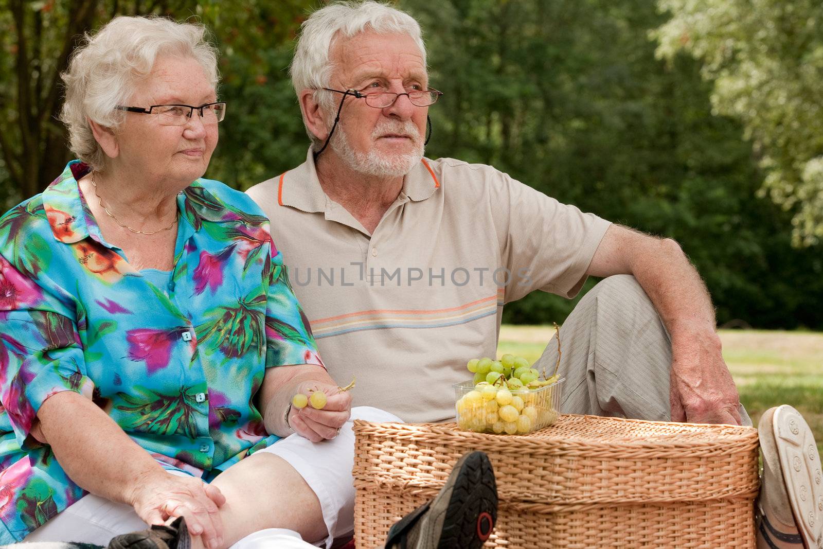 Elderly couple enjoying the spring in the park