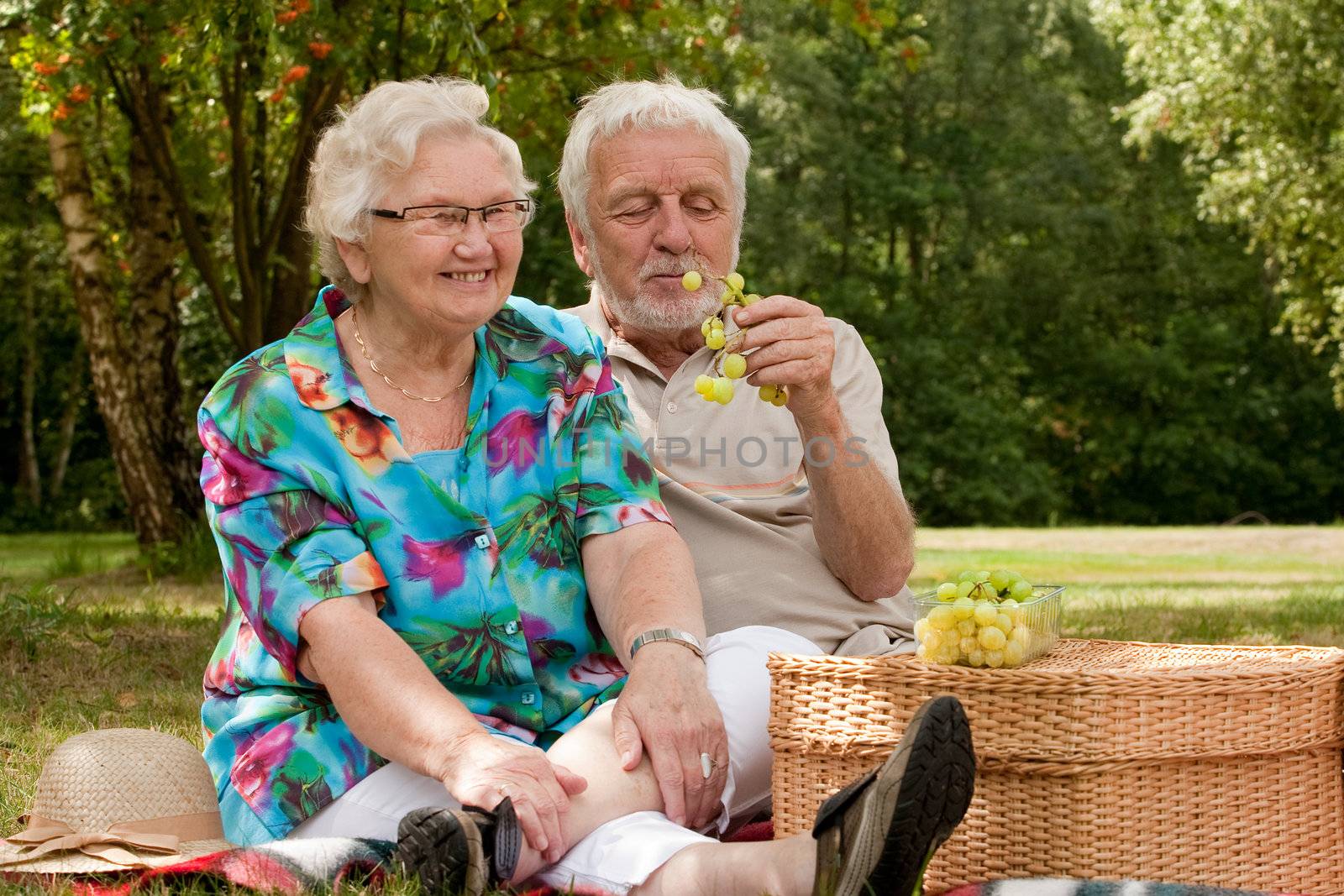 Senior couple picknicking in the park by DNFStyle