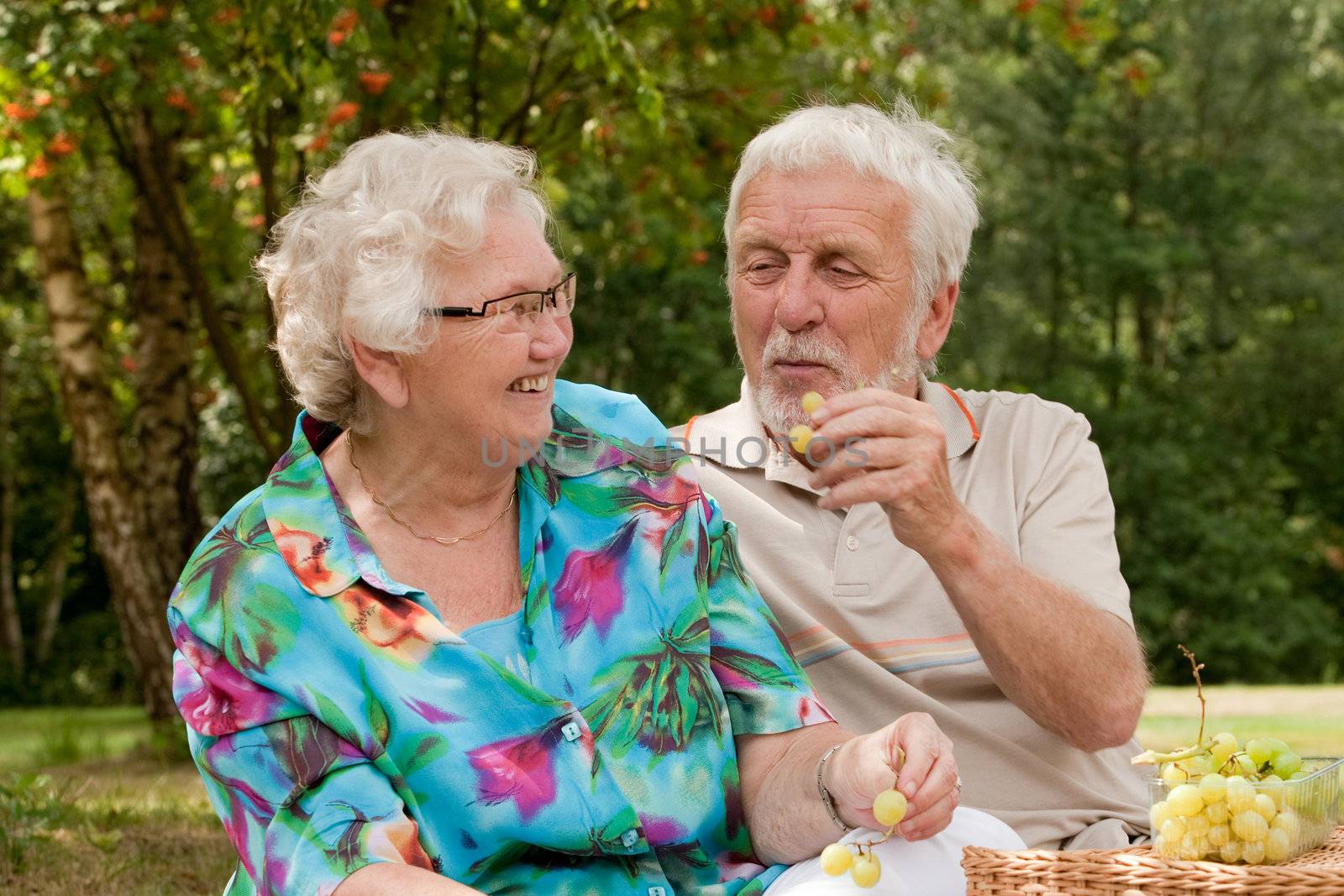 Elderly couple enjoying the spring in the park