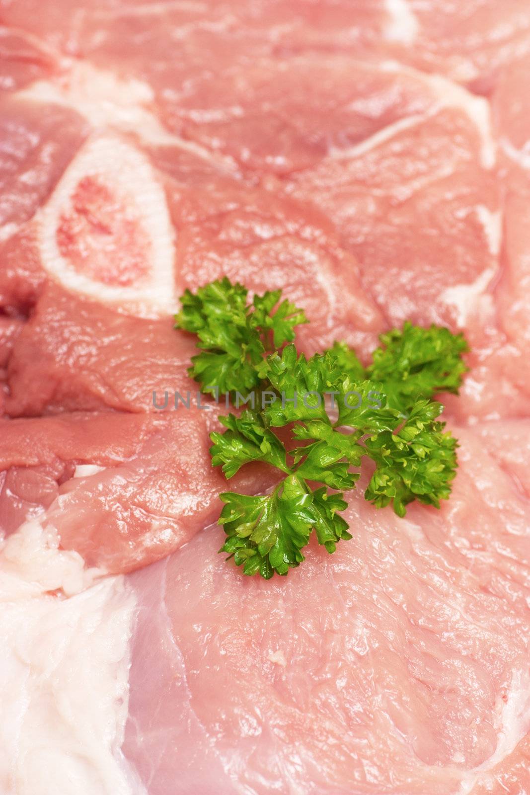 Unprepared cutted meat and green parsley