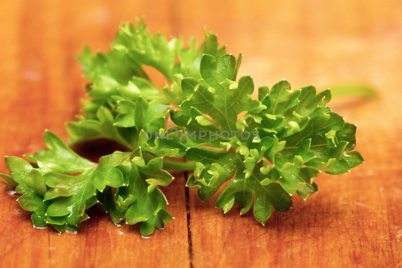 A sprig of parsley on a cutting board