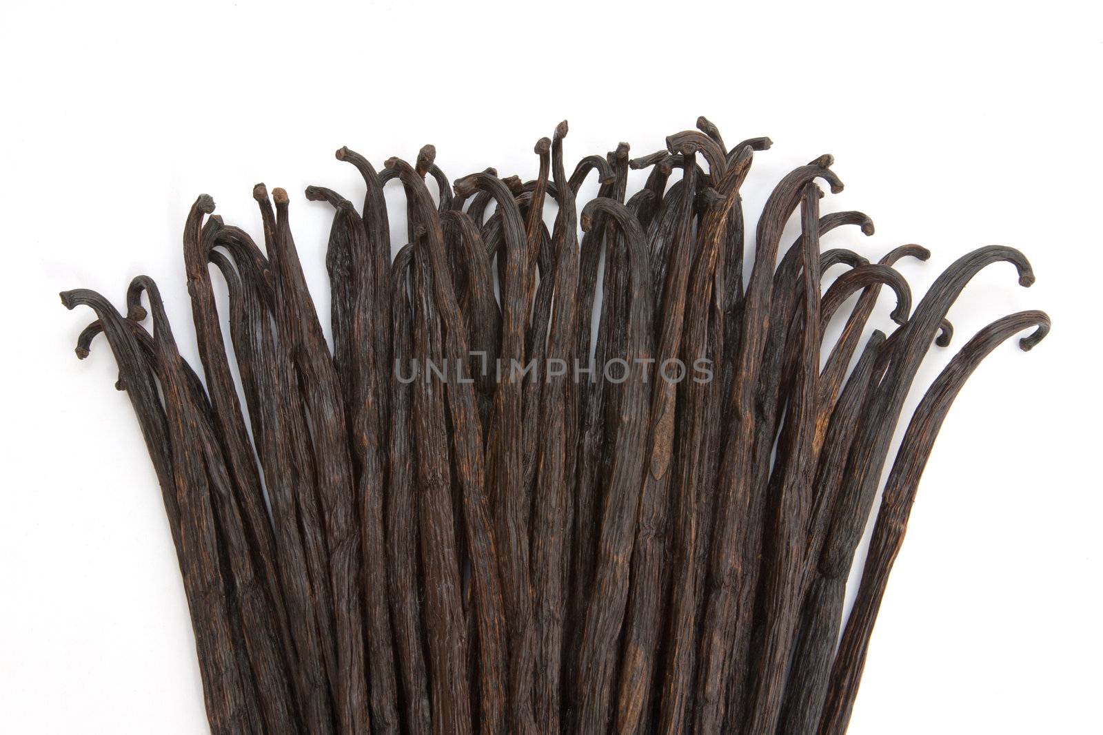 Boot of Bourbon vanilla beans isolated on white background