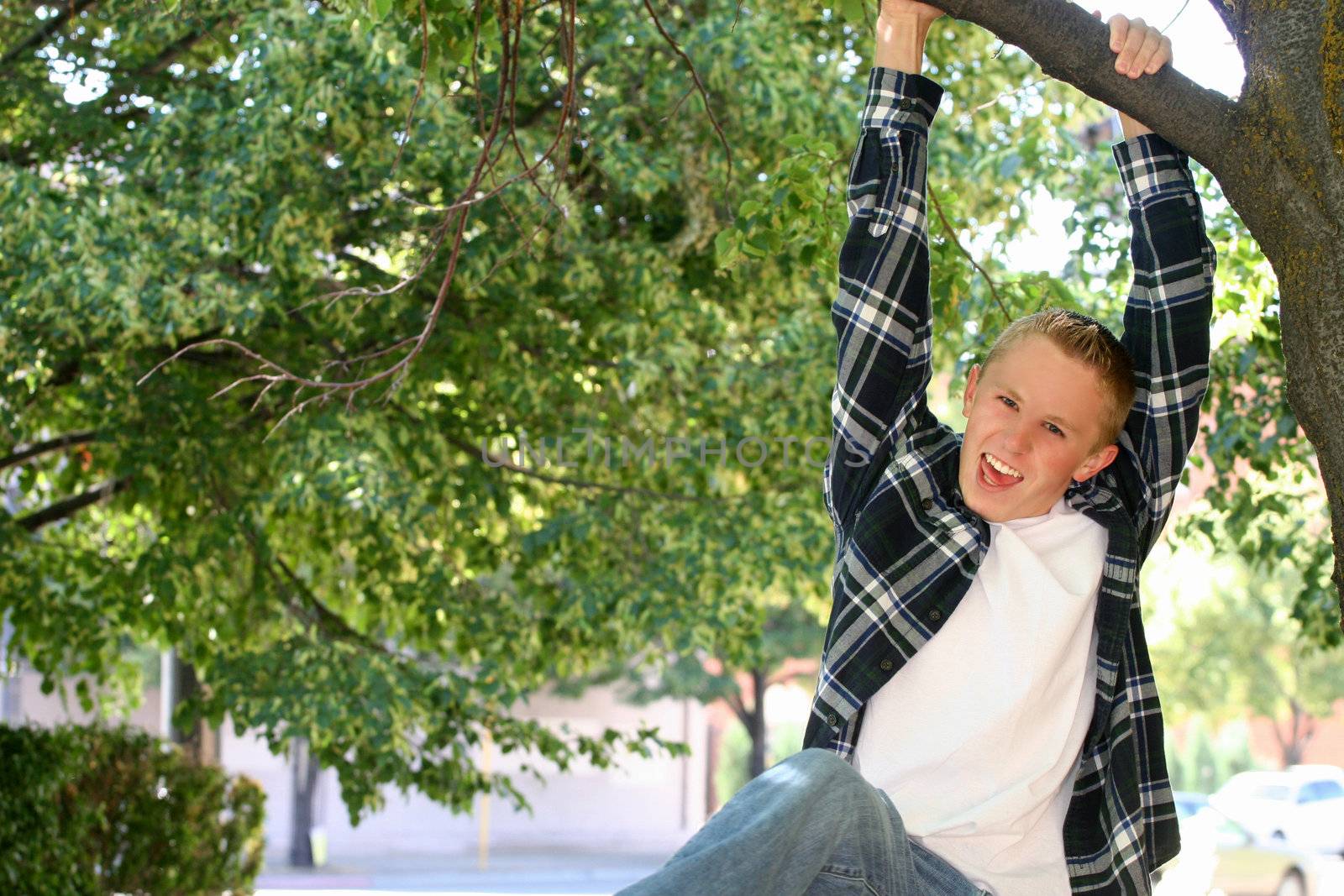 Teen boy hanging from a tree