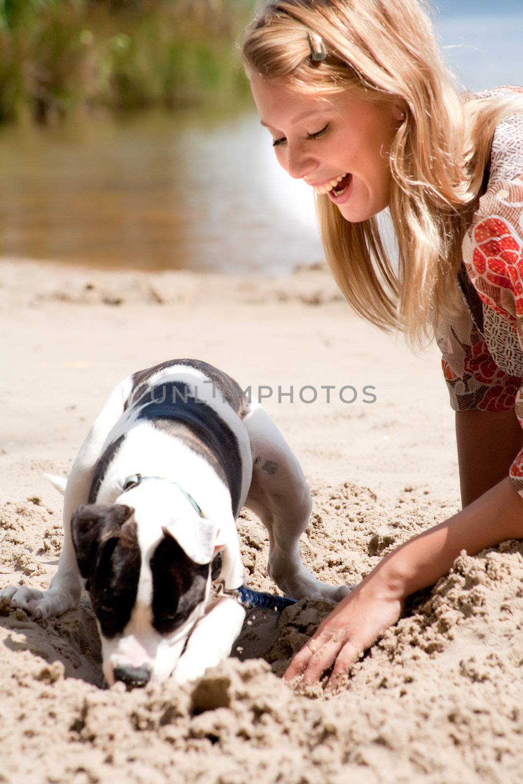 Helping my dog with digging by DNFStyle