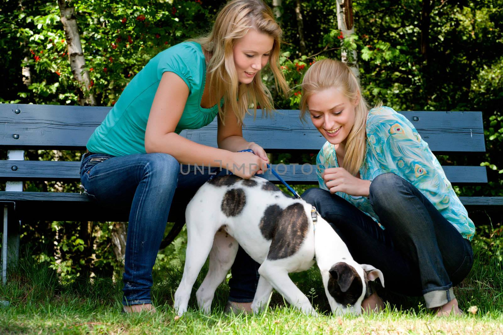 Two blond girls and a american bulldog in the park
