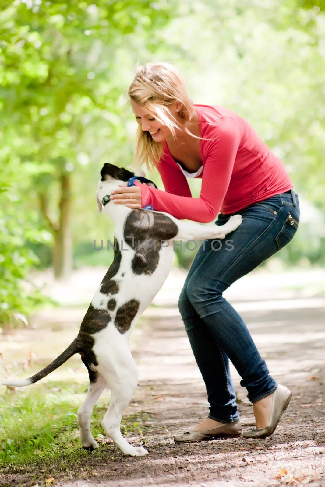 Blond girl and a american bulldog in the park