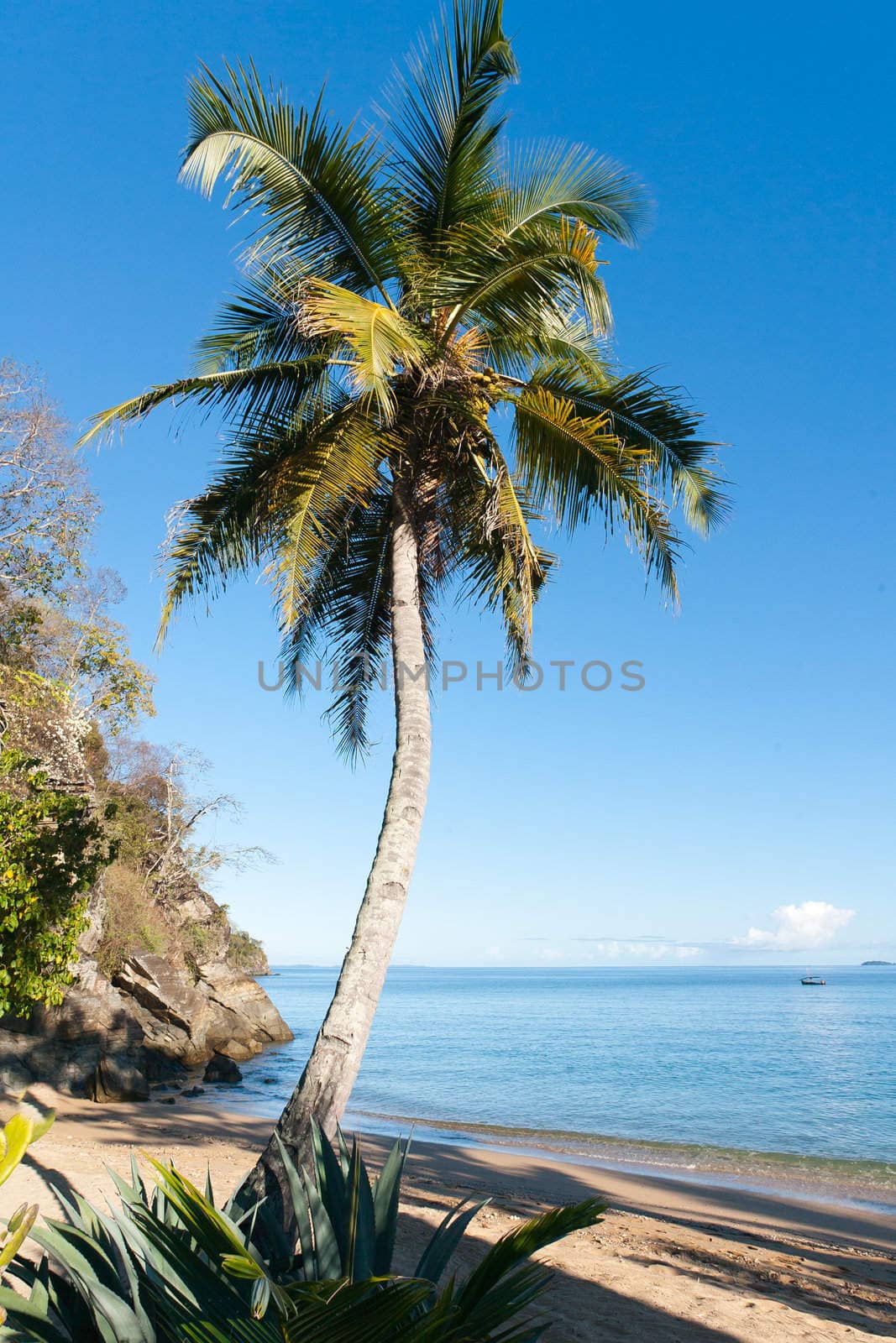 Tropical beach landscape by pierivb