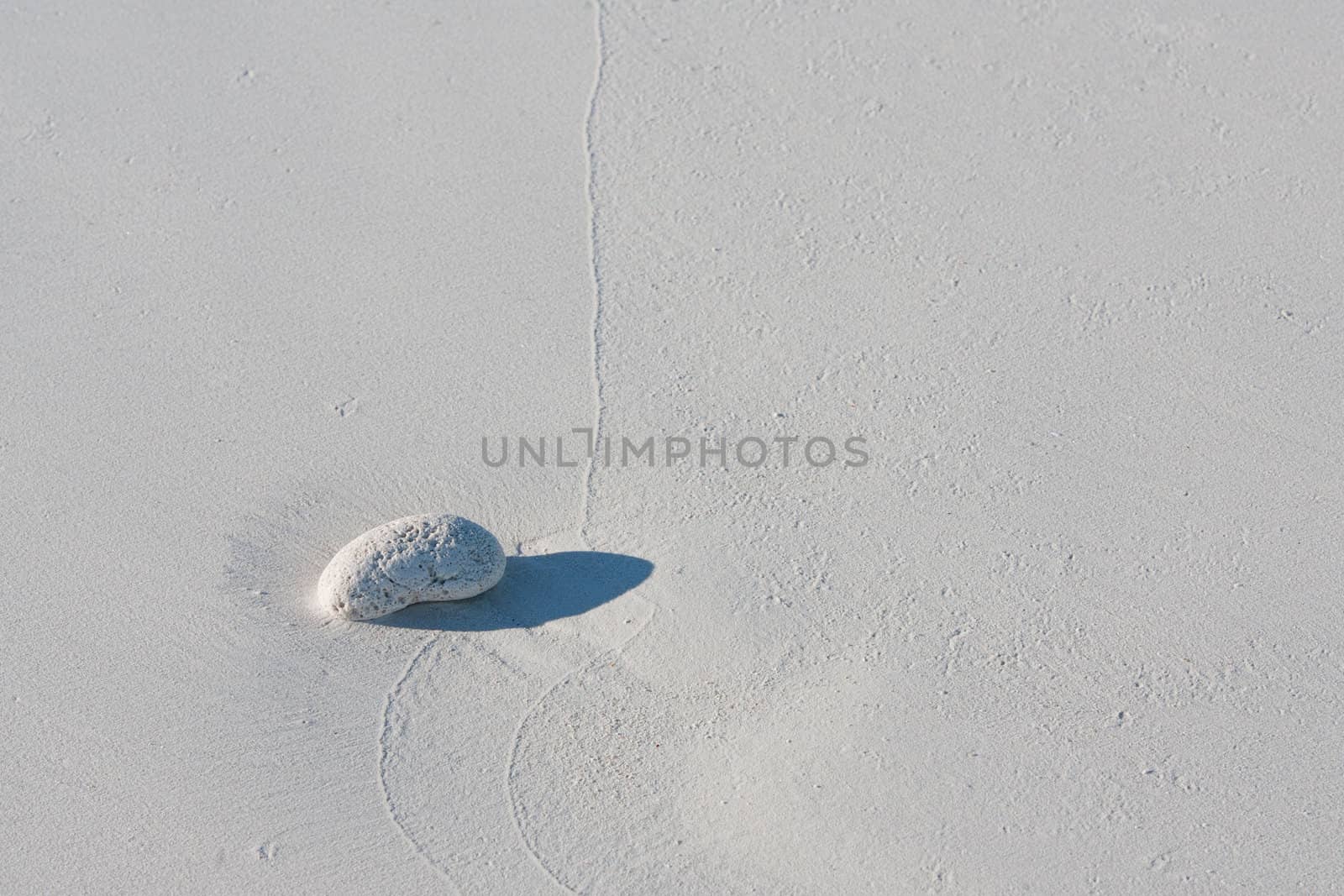 White pebble on the sandy beach