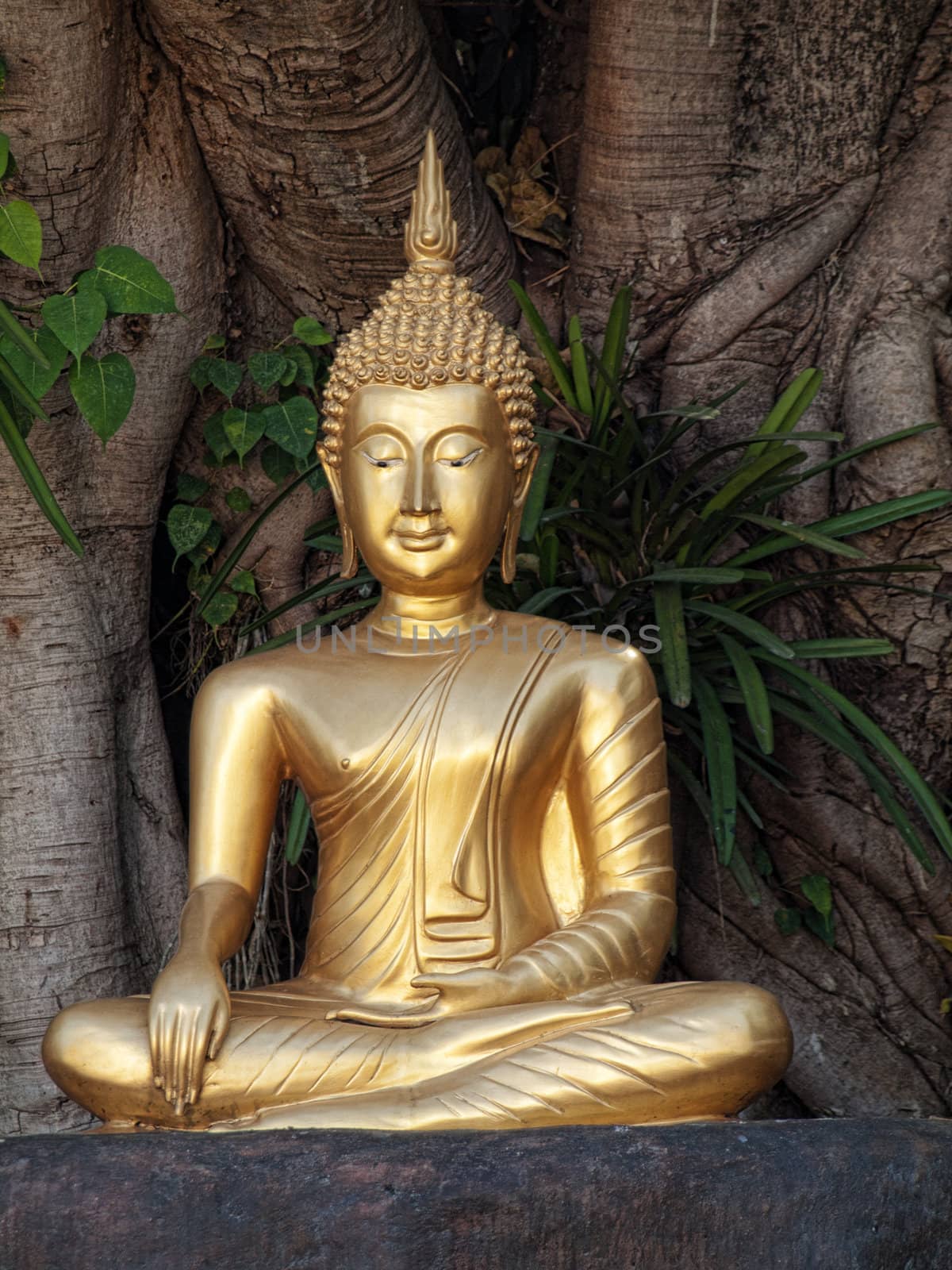 Golden Buddha statue at Wat Phan tao temple in Chiang Mai Thailand