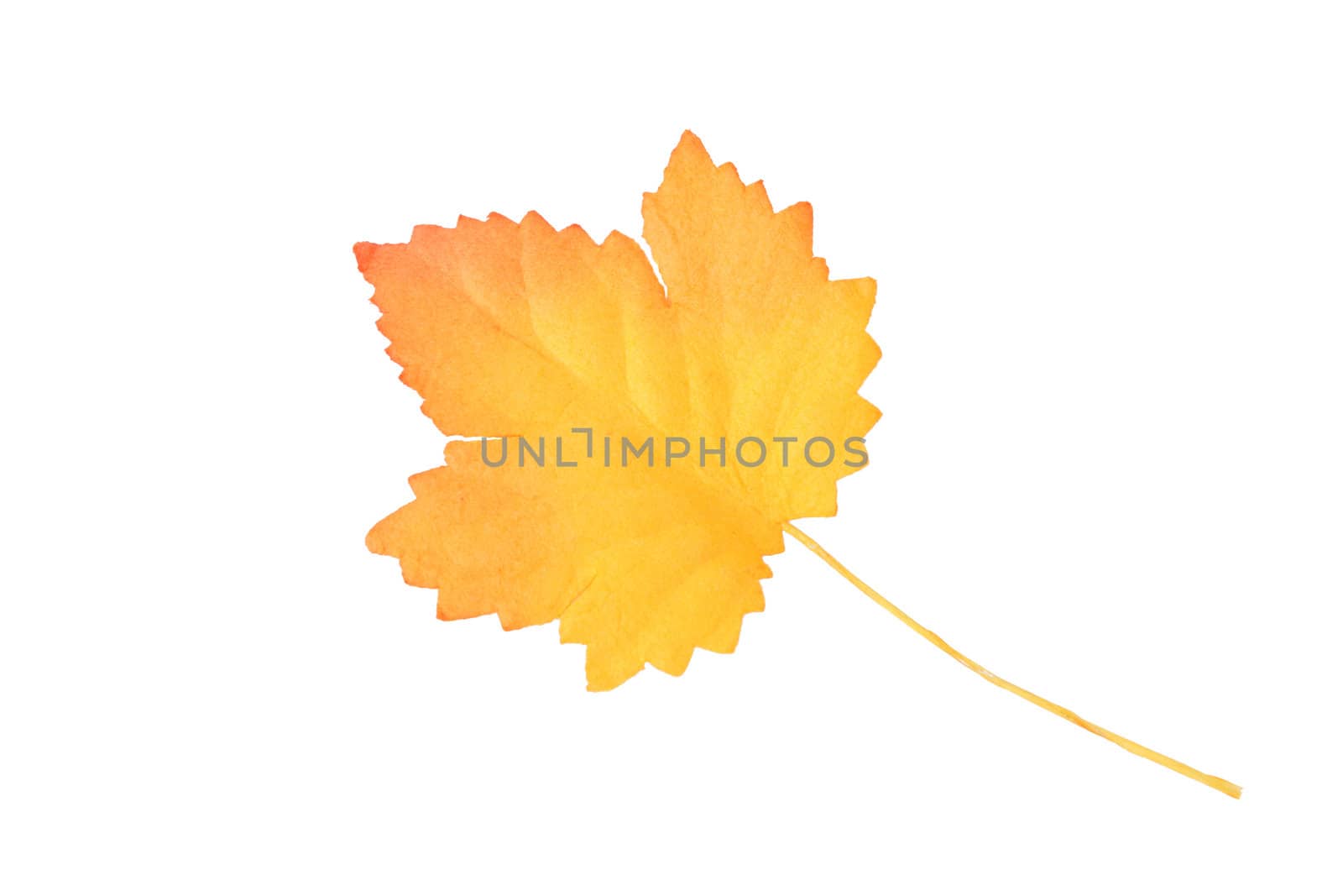 Artificial yellow-orange autumn leaf on white background