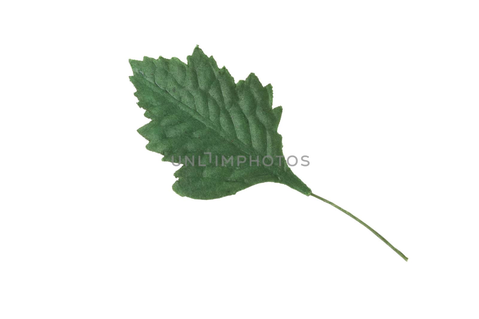 Artificial green leaf on a white background