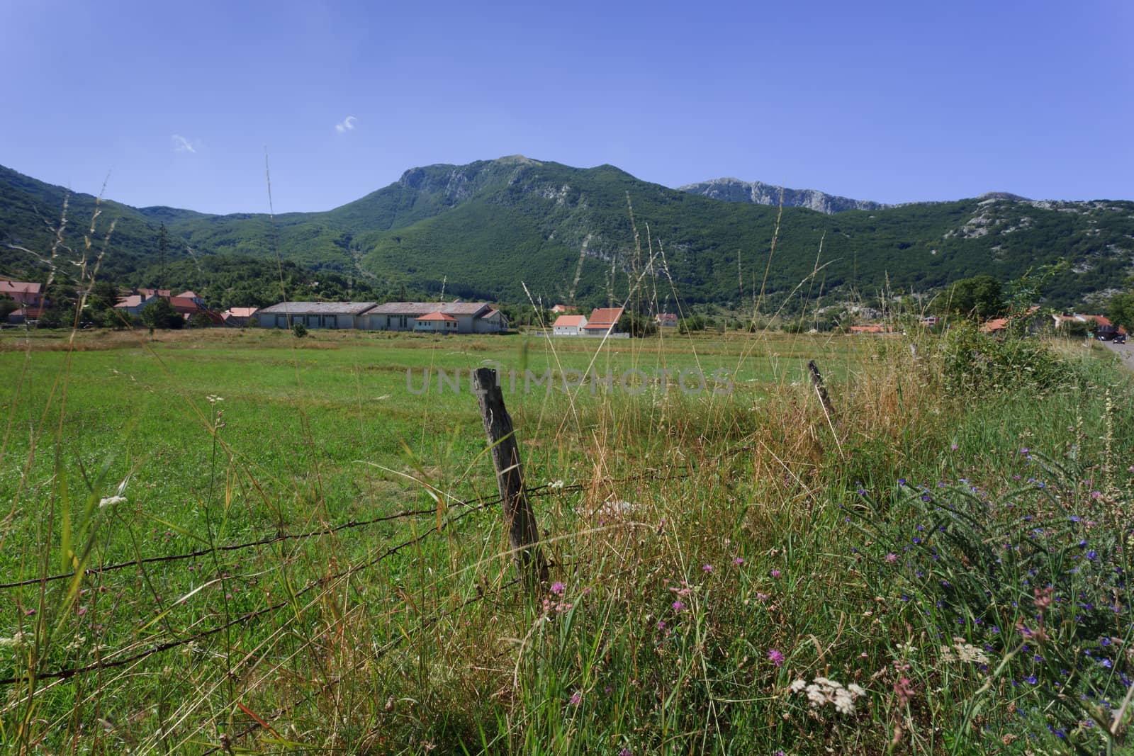 Pasture in Montenegro by jasonvosper