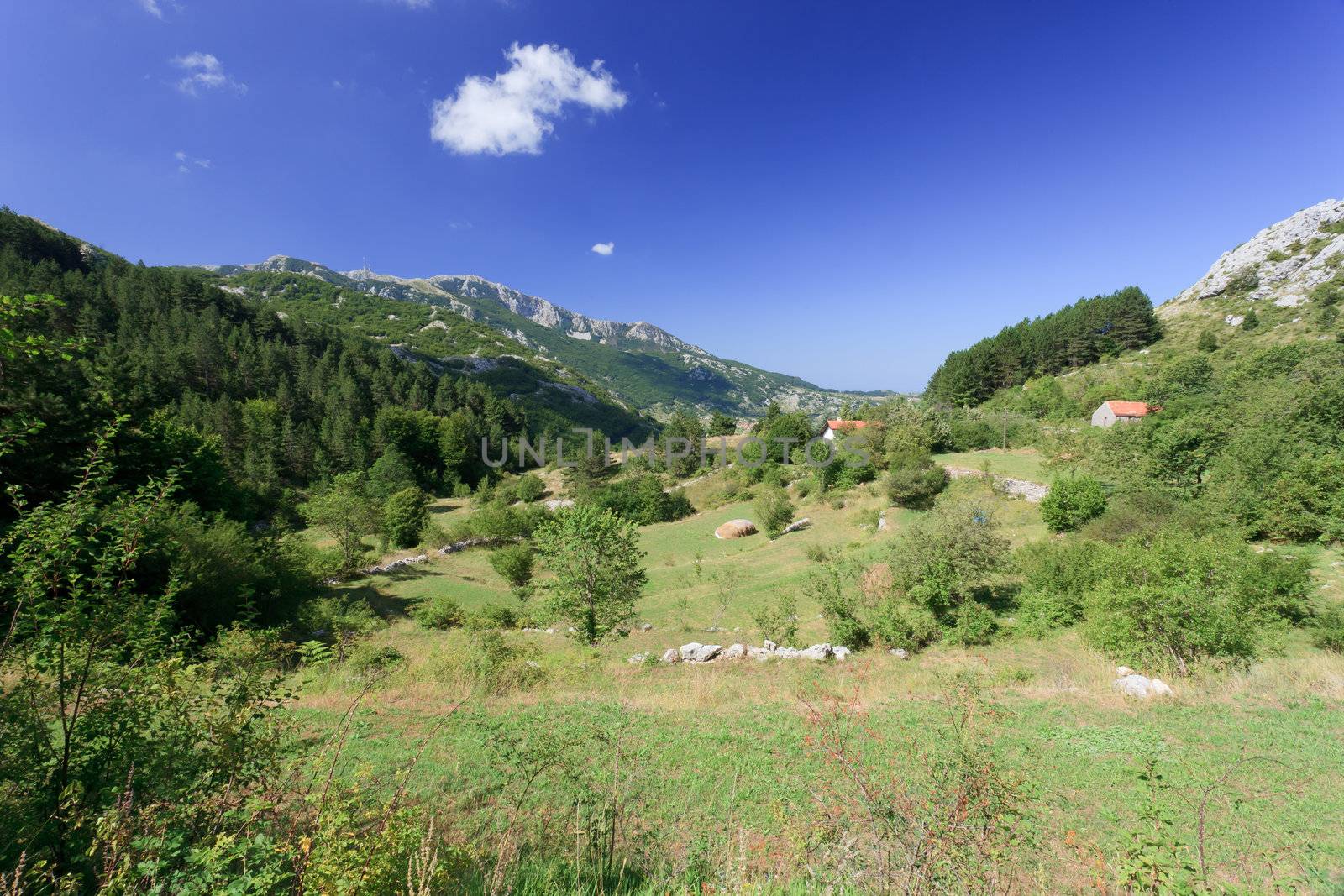 Two houses in the mountains of Montenegro