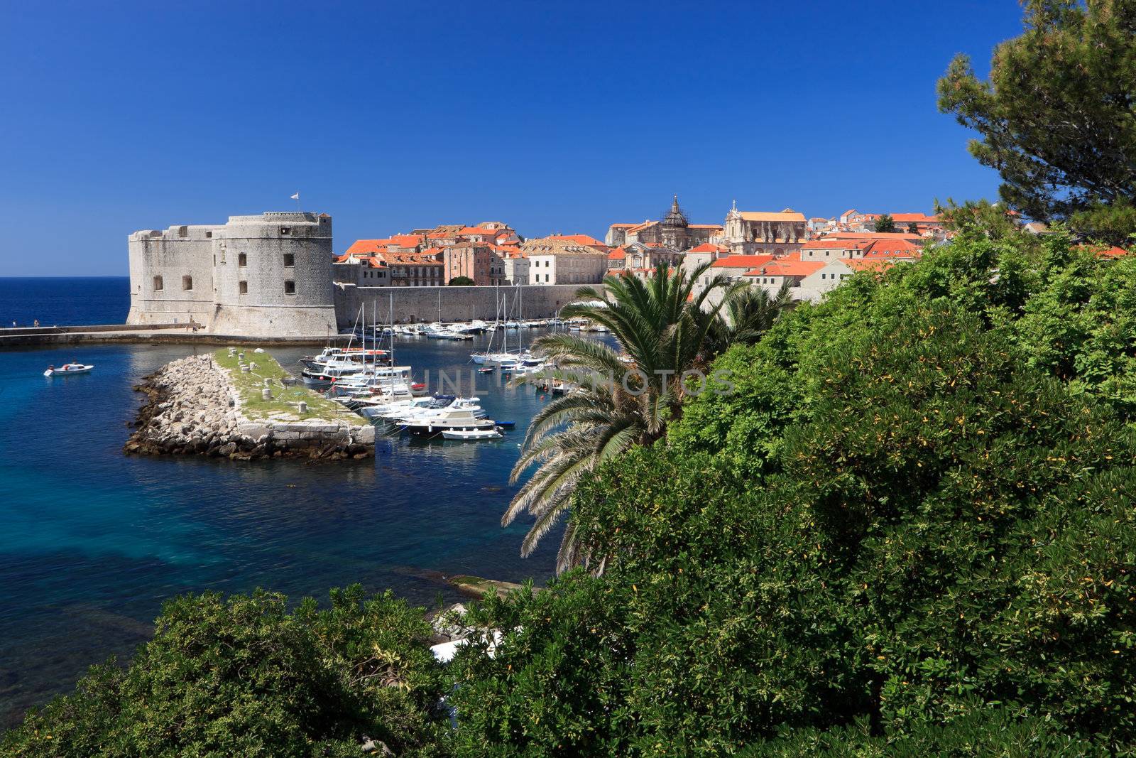 Dubrovnik old town harbour by jasonvosper