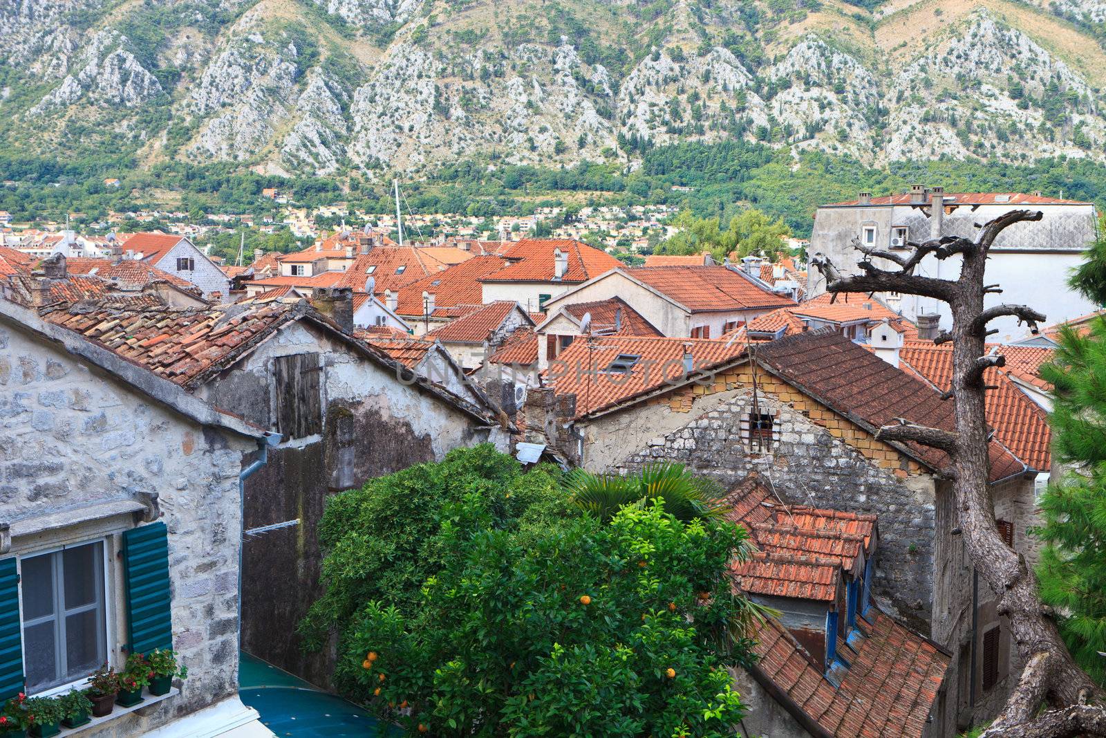 Kotor rooftops by jasonvosper