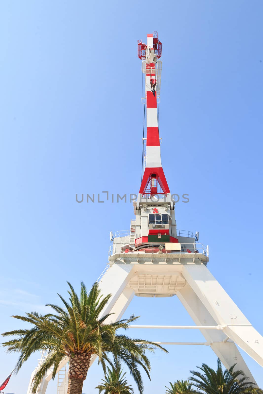 Industrial crane and palm tree against a blue sky