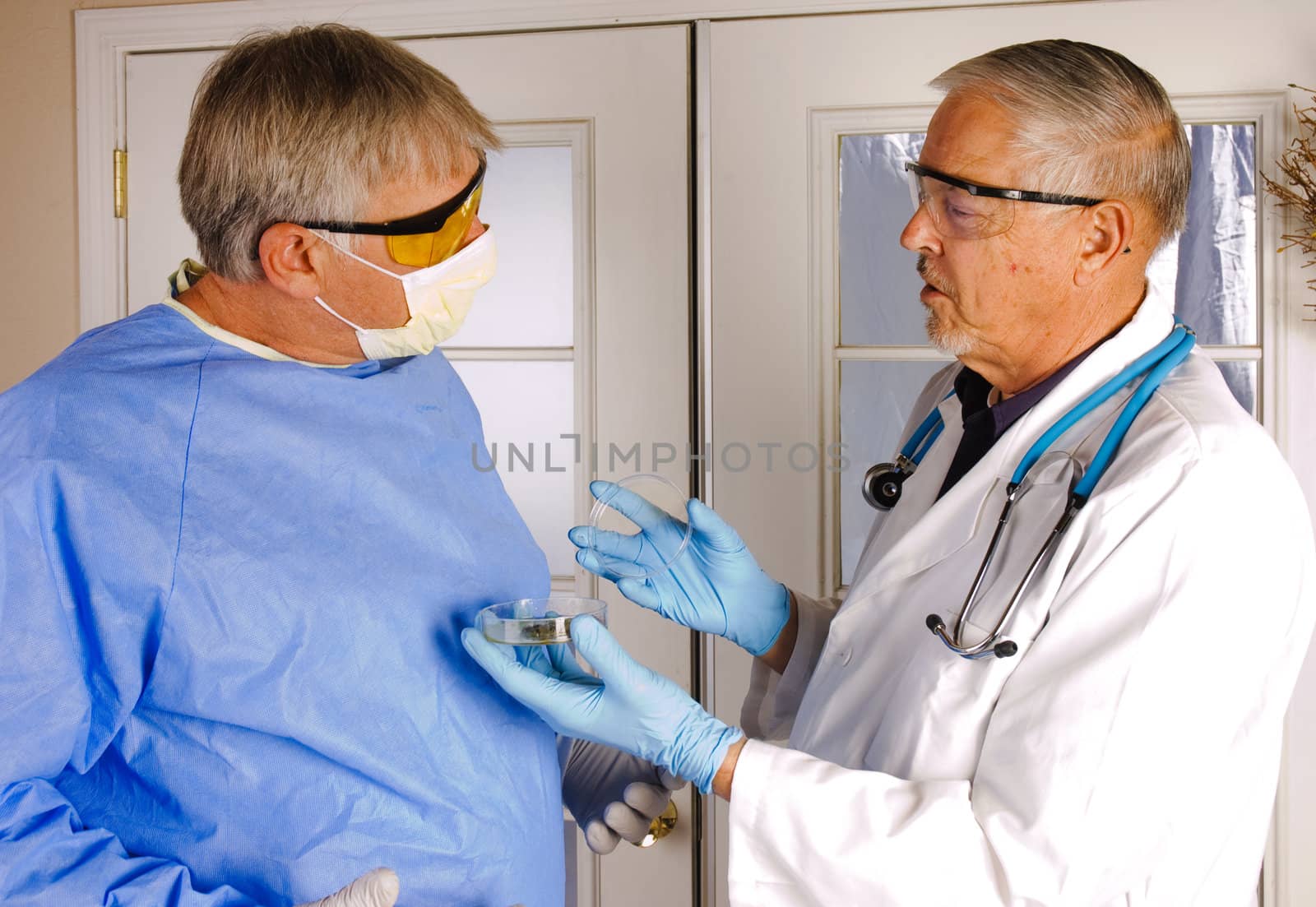 two doctors discussing a culture dish result