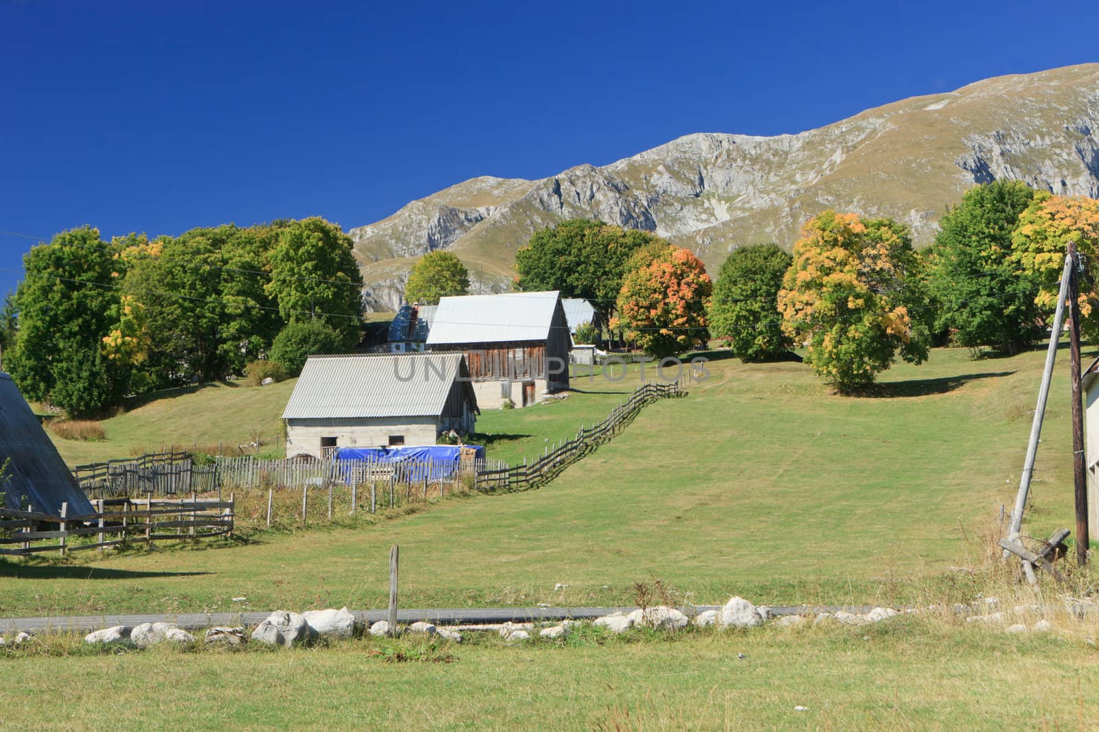 Country living in Zabliac national park Montenegro 