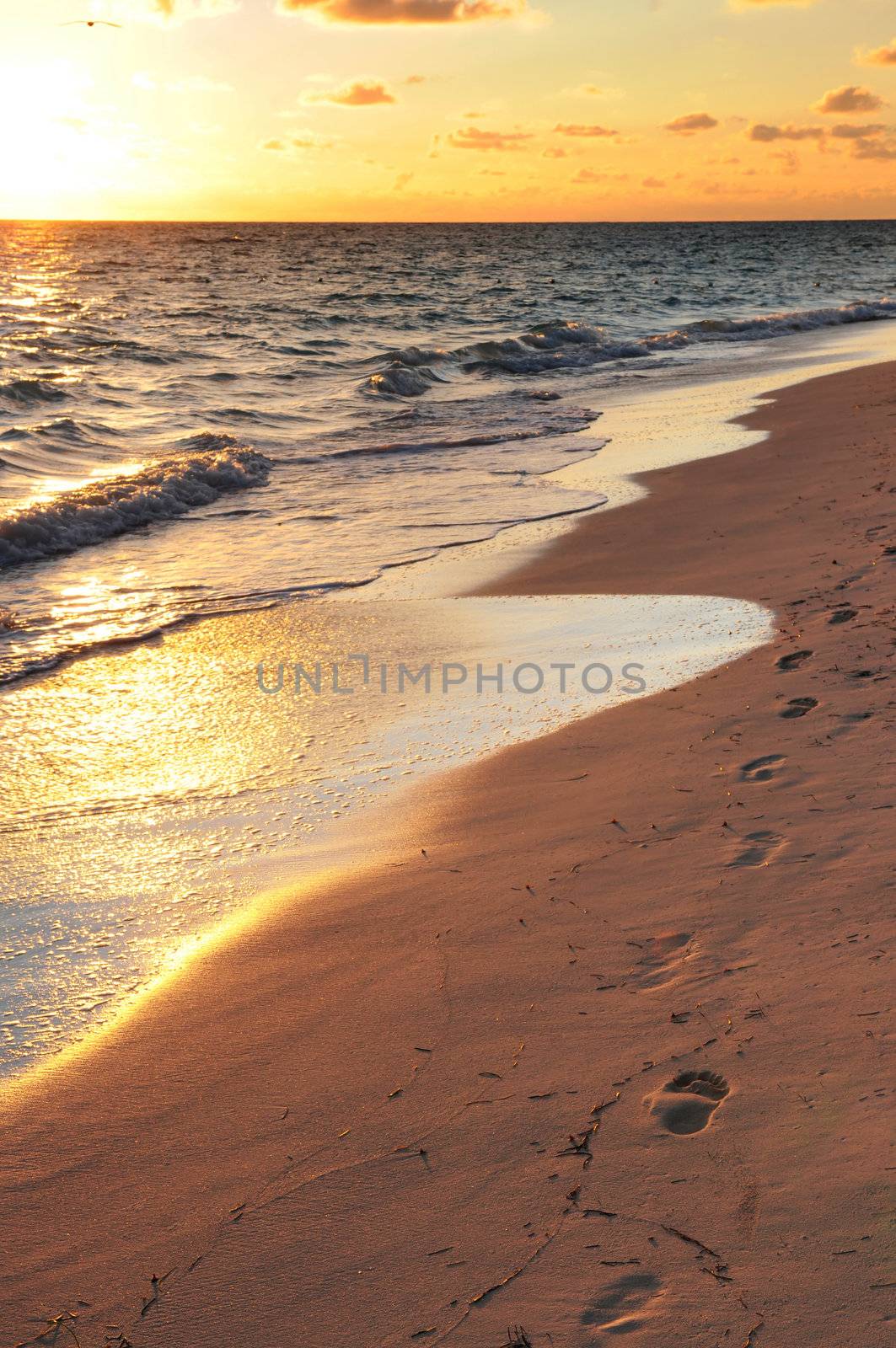 Footprints on sandy beach at sunrise by elenathewise