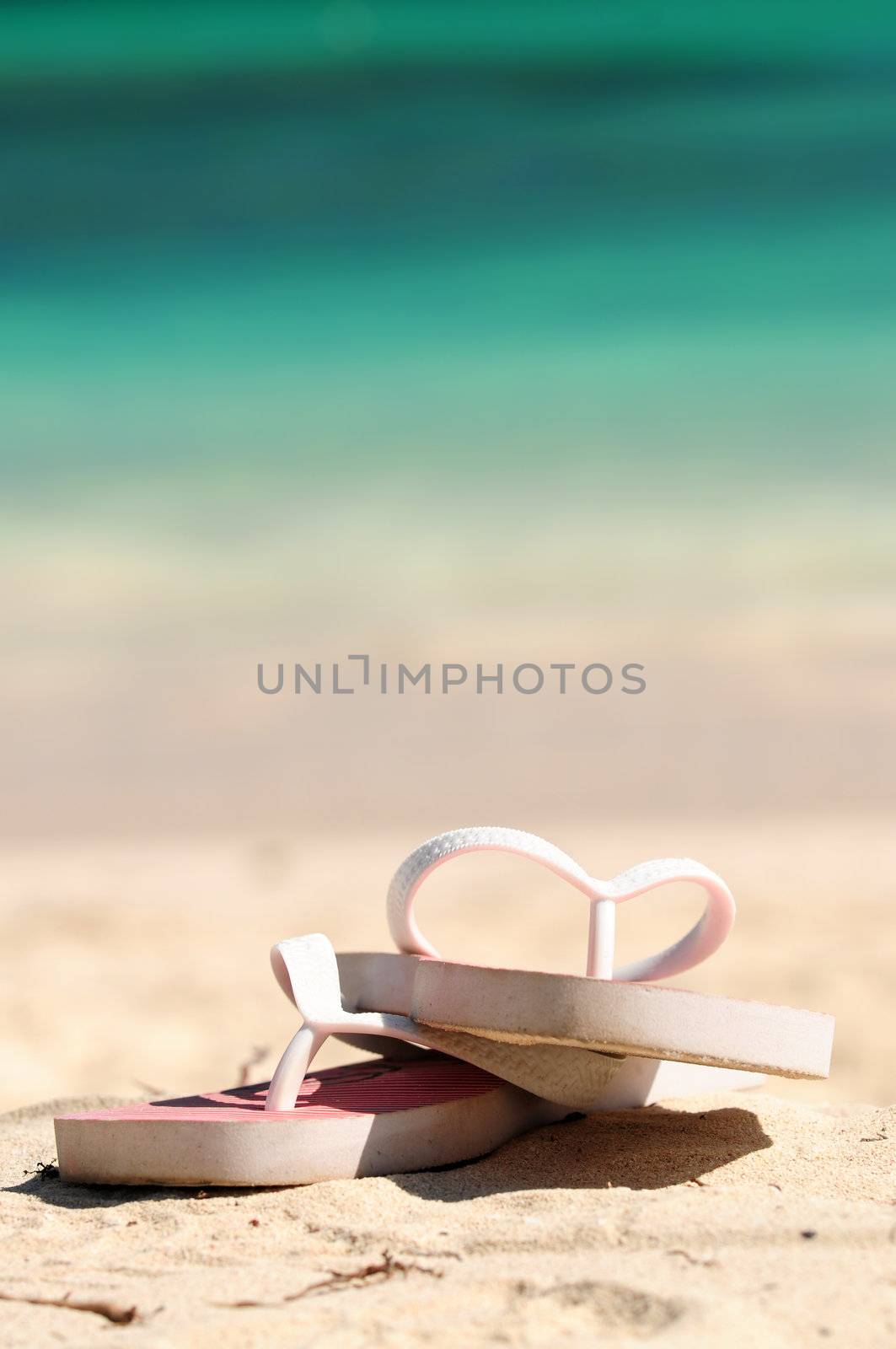 Flipflops on a sandy beach by elenathewise