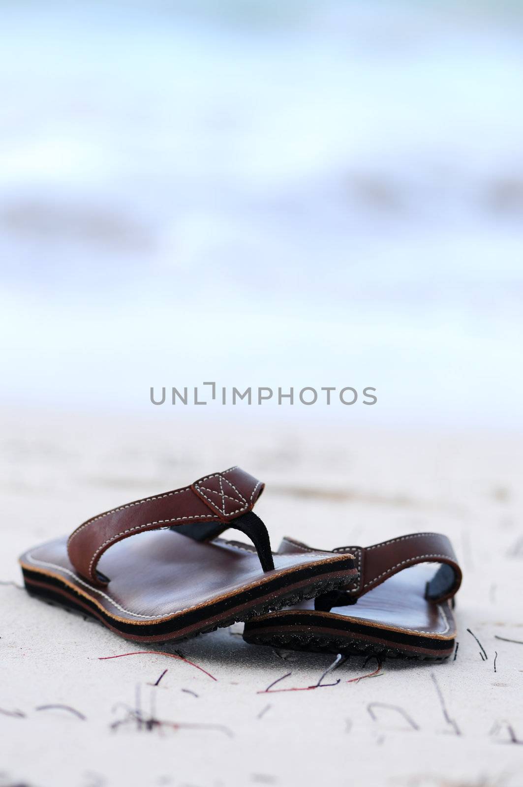 Flipflops on a sandy beach by elenathewise