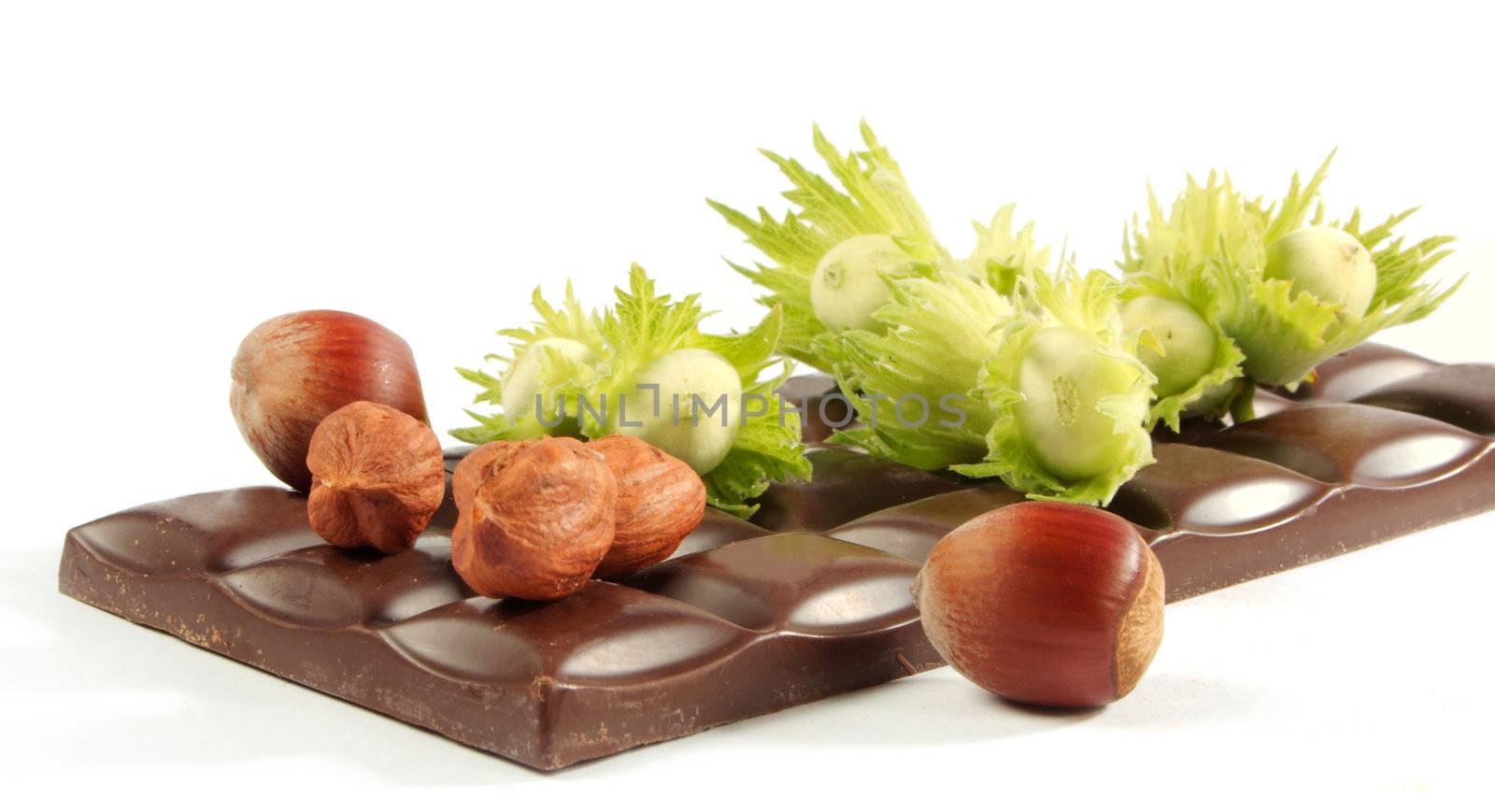 Piece of chocolate and wood nuts on a white background