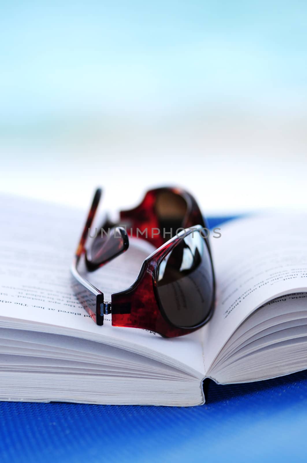 Sunglasses and book on beach chair by elenathewise