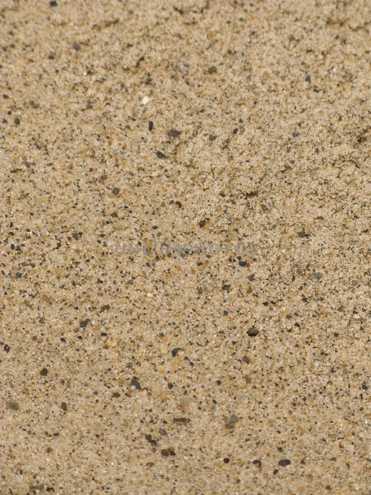Natural Sand Texture from the Beach