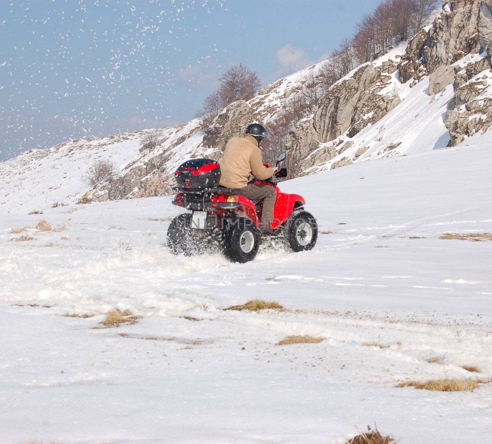 Man riding quad in mountain snow