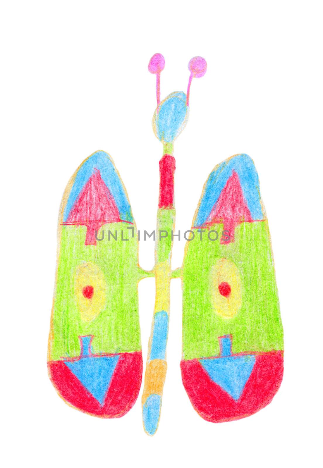 Butterfly - Children's painting. Drawing of the butterfly on a white background.