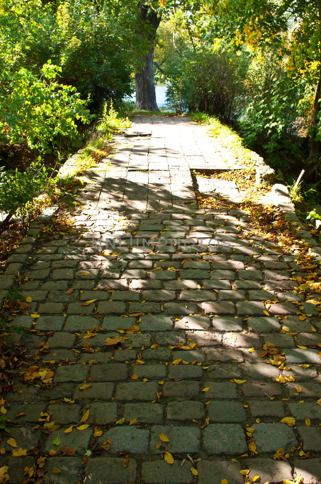 old stone road. Cobble stone. Vintage street. Autumn season.