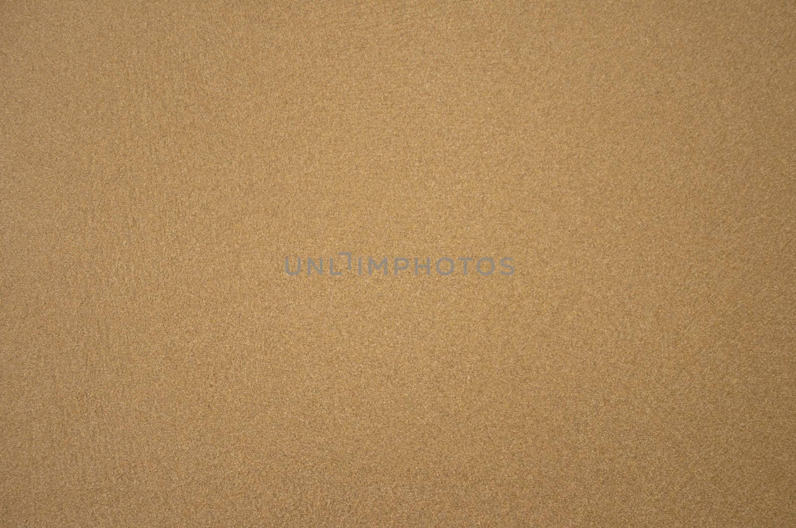High resolution image. Sand texture. A sandy background. Natural material.