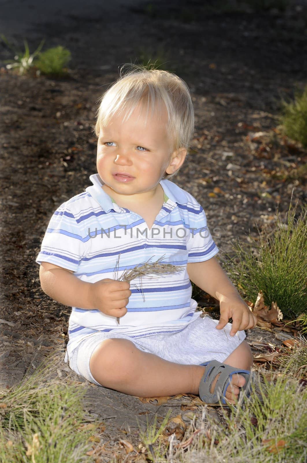 Infant sitting on the ground inspecting the flora