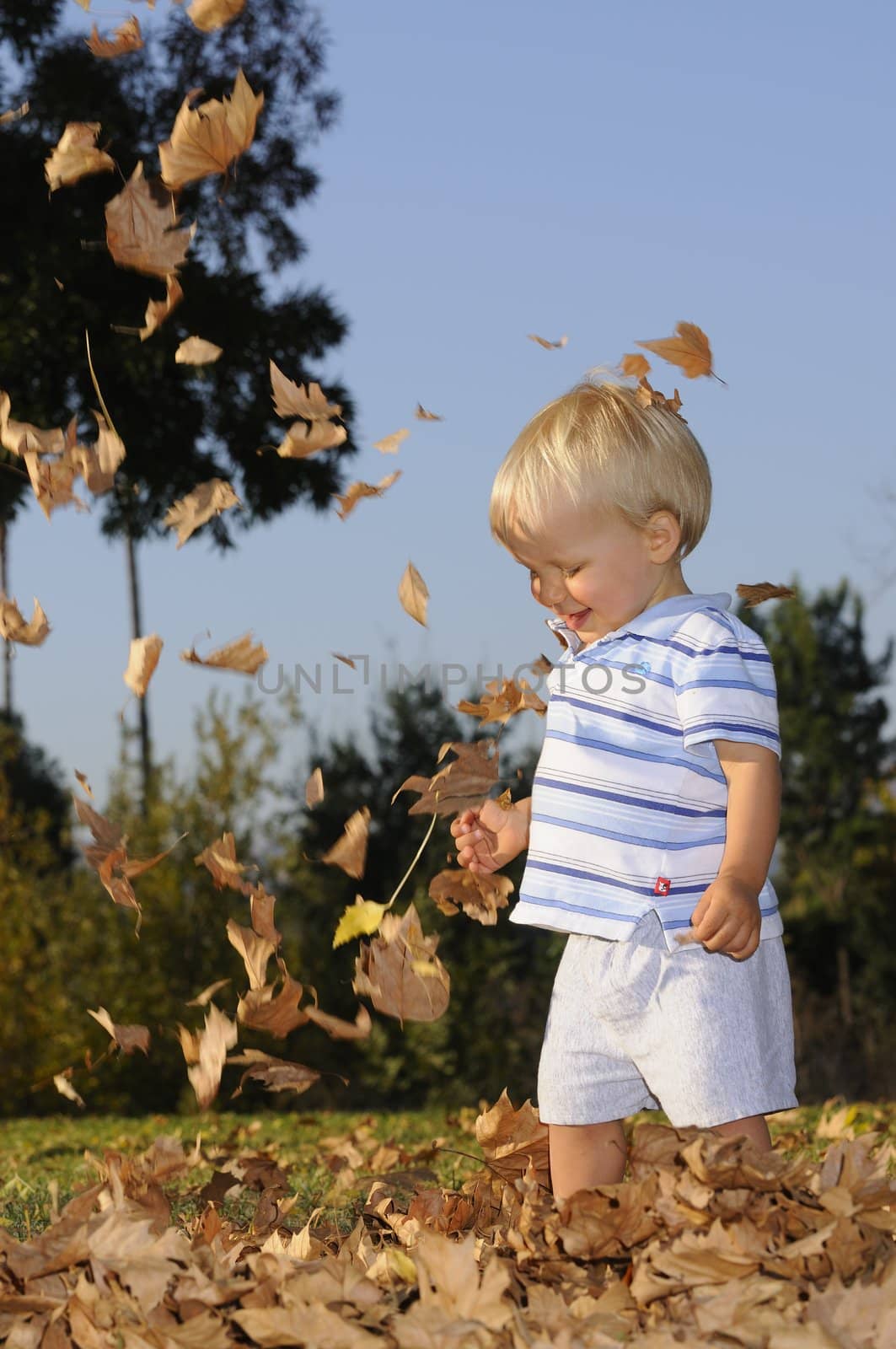 Young infant playing in falling leaves