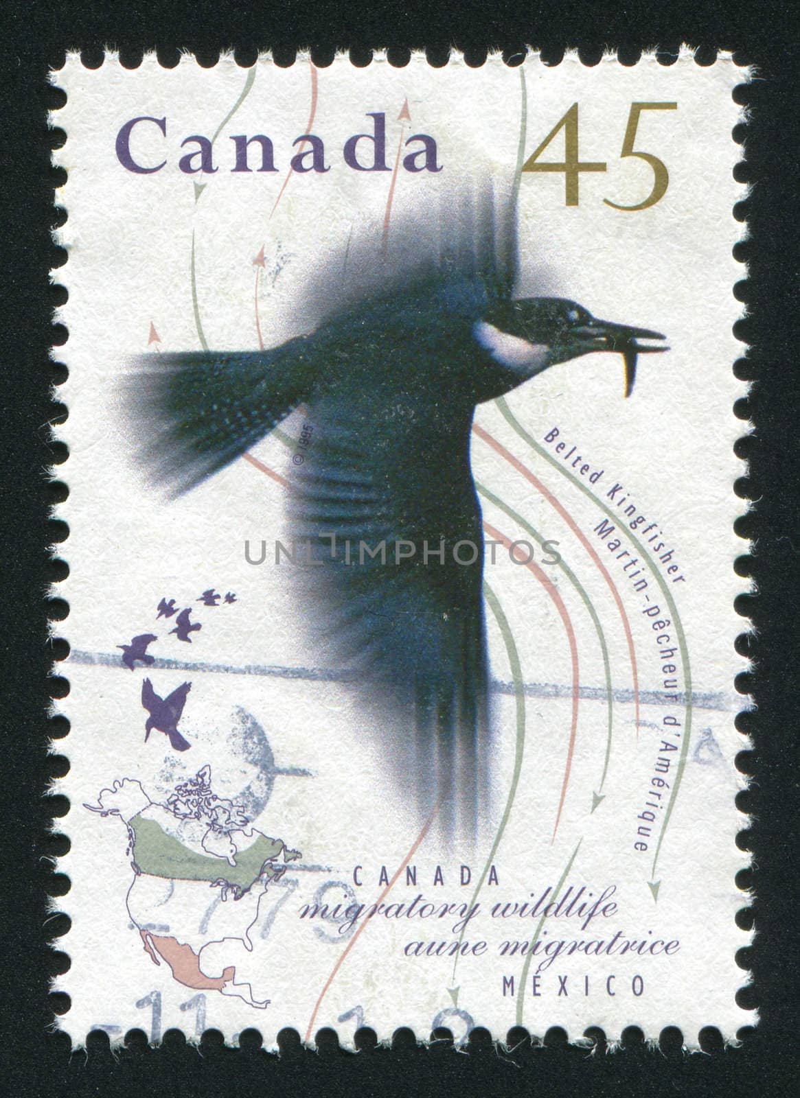 CANADA - CIRCA 1995: Migratory Wildlife. Belted kingfisher, circa 1995.