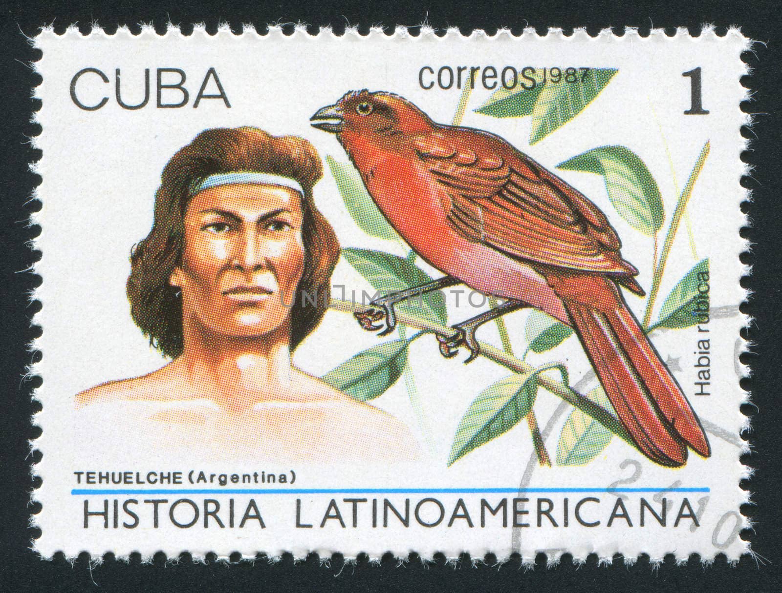 CUBA - CIRCA 1987: Latin American History, Indians and birds. Tehuelche Indian of Argentina, Habia rubica, circa 1987.