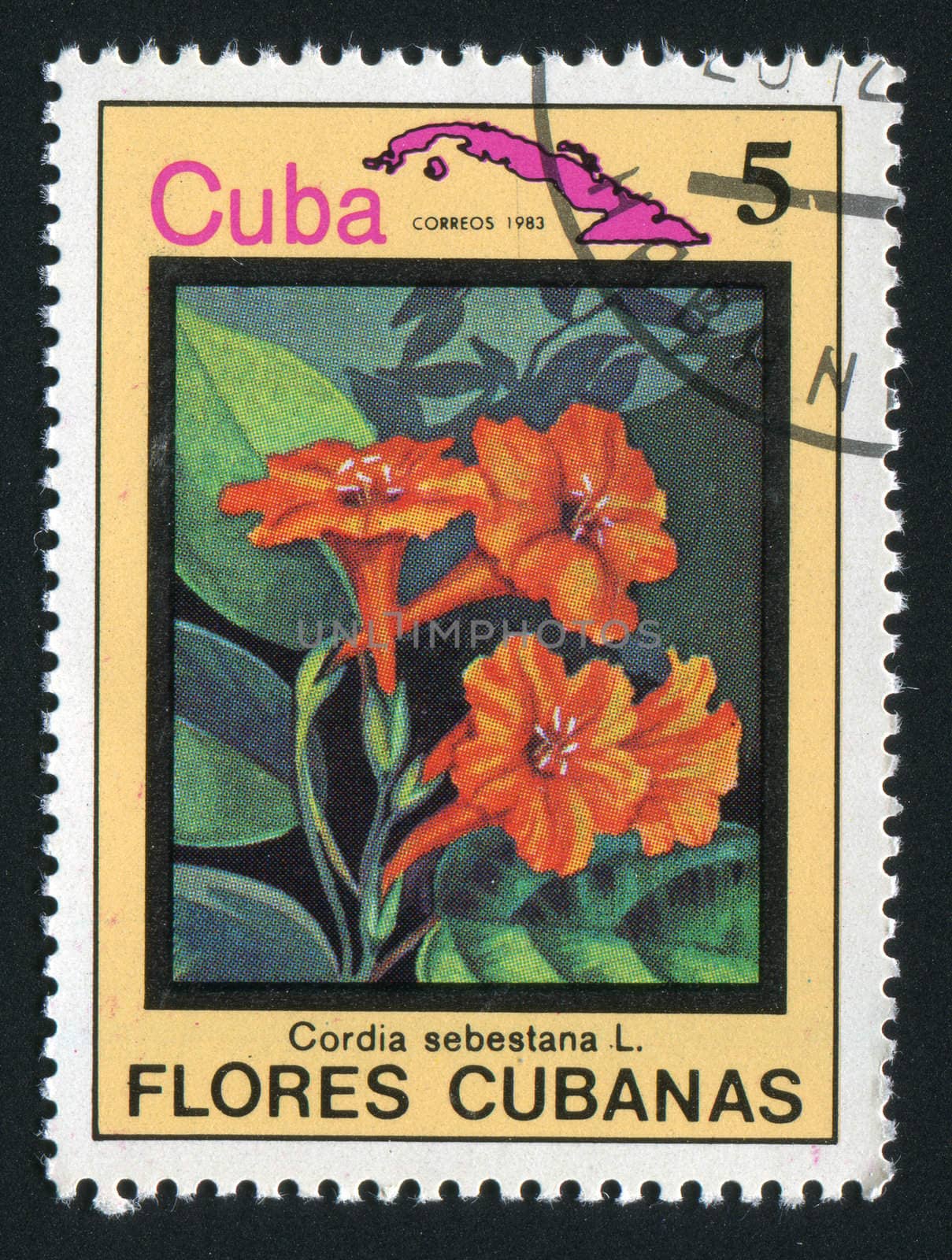 CUBA - CIRCA 1983: Latin Beautiful tropical flower, circa 1983.