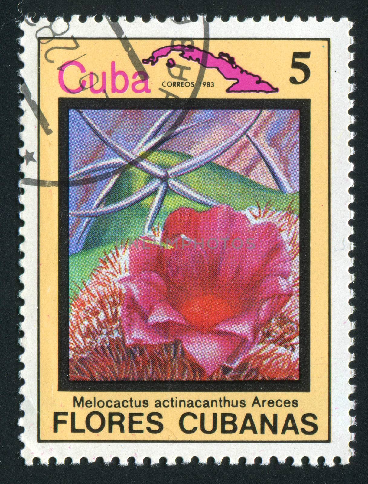 CUBA - CIRCA 1983: Latin Beautiful tropical flower, circa 1983.