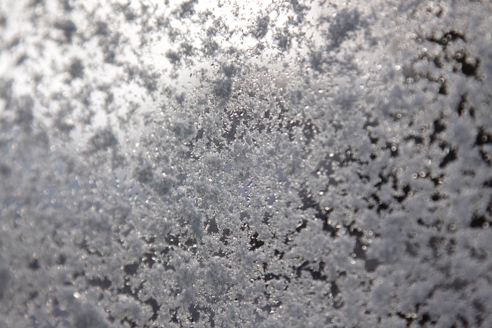 Fresh snowflakes on a window with light shinning through it.
