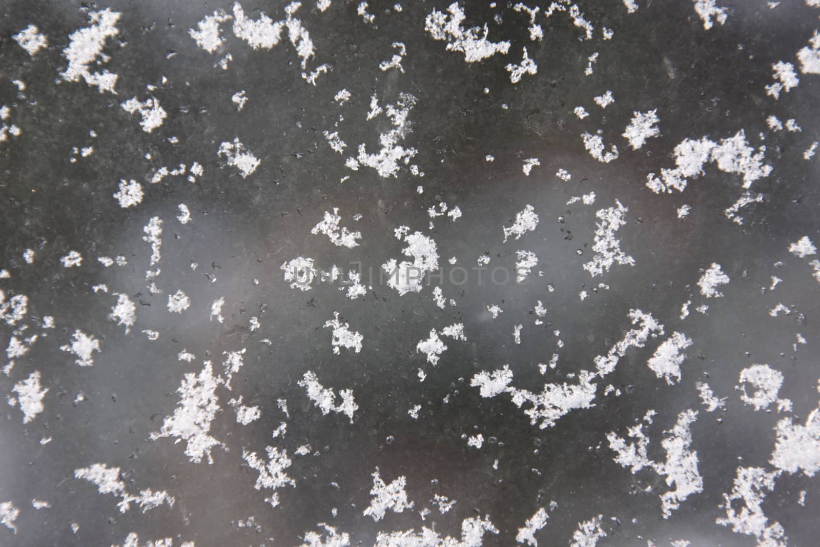 Fresh snowflakes on a window, makes a nice winter background.
