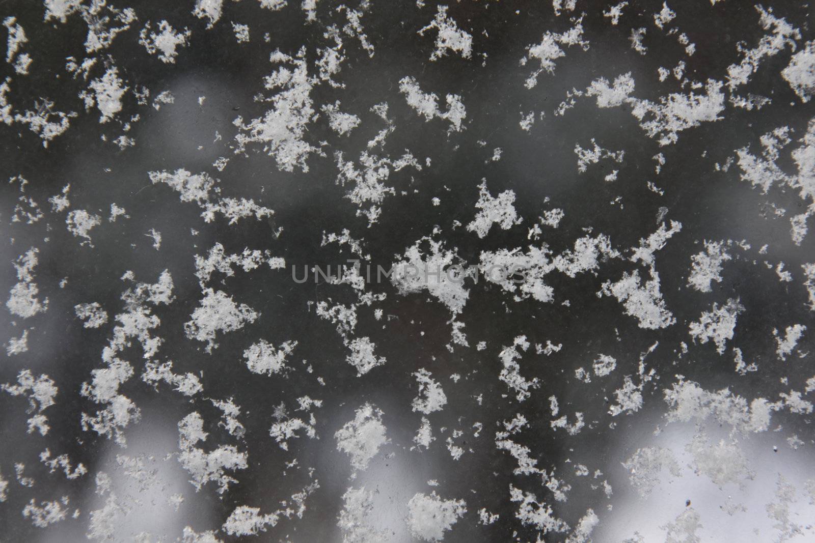 Fresh snowflakes on a window, makes a nice winter background.
