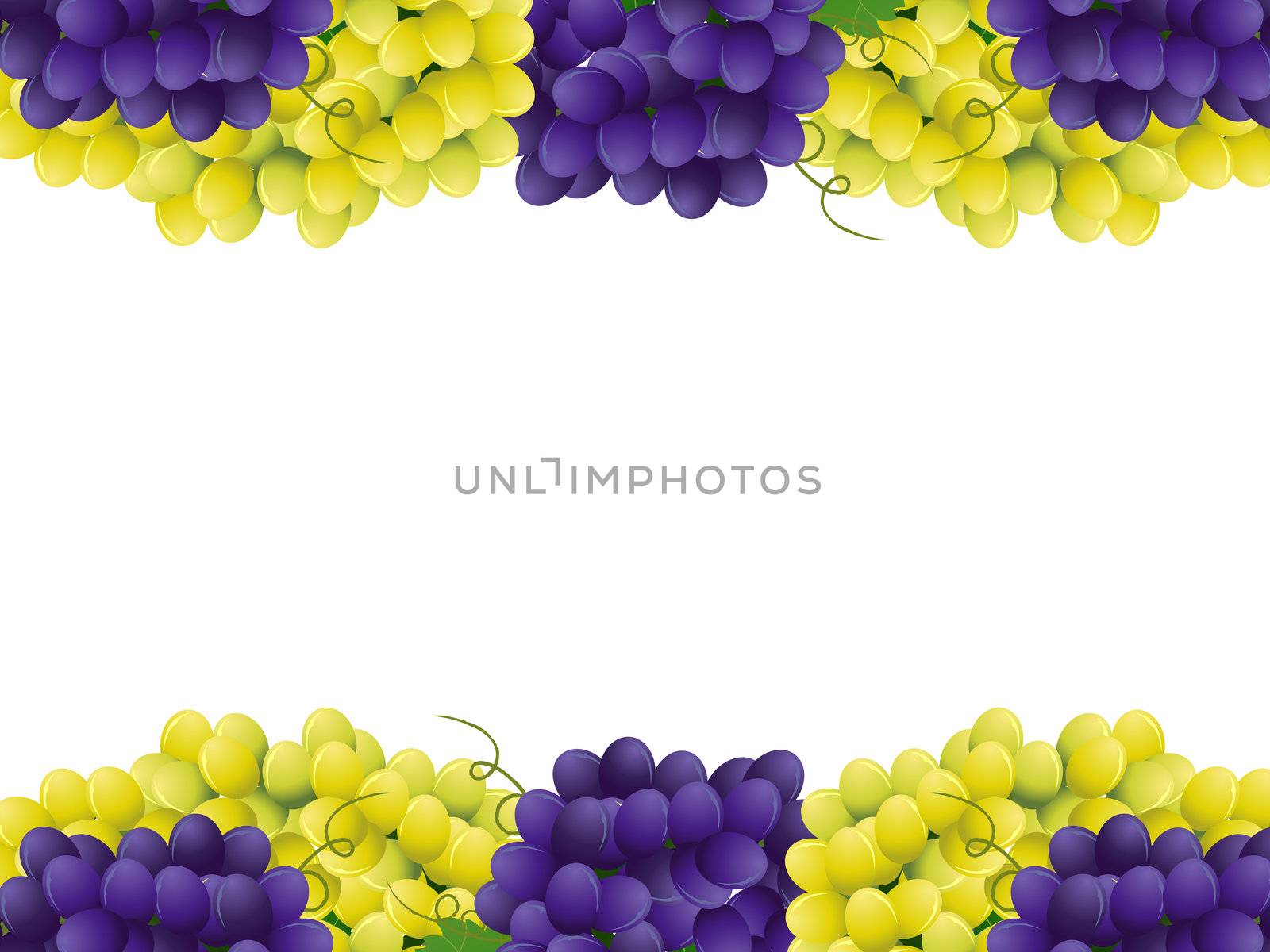 Vector image of violet and yellow grape with green leaves