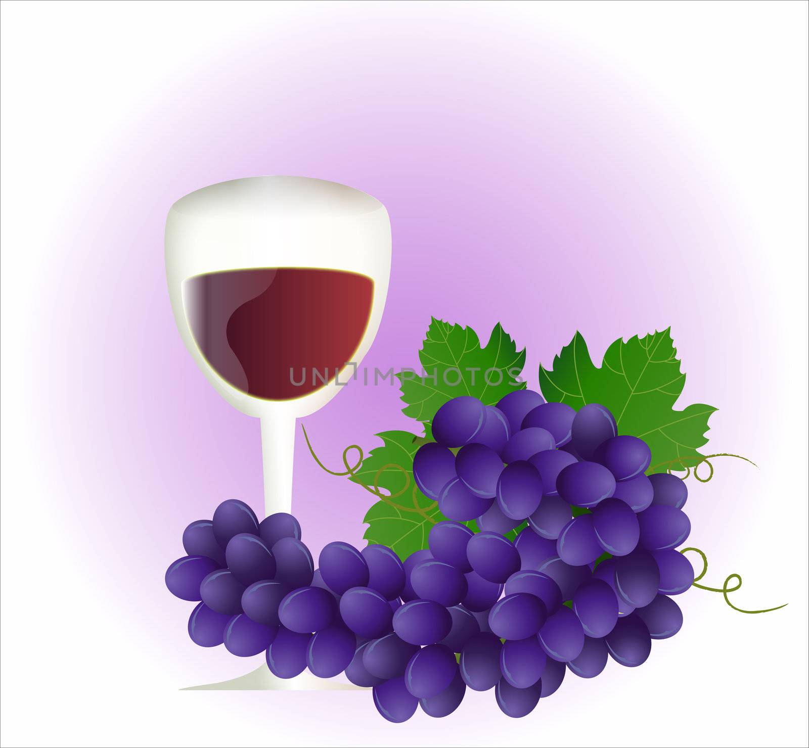 Vector image of Grape and glass of wine