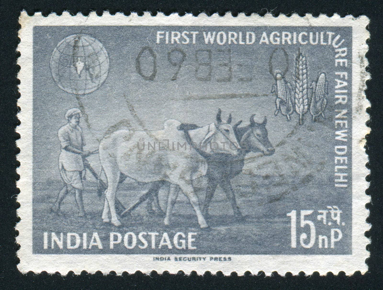INDIA - CIRCA 1959: Farmer Plowing with Bullocks, circa 1959.