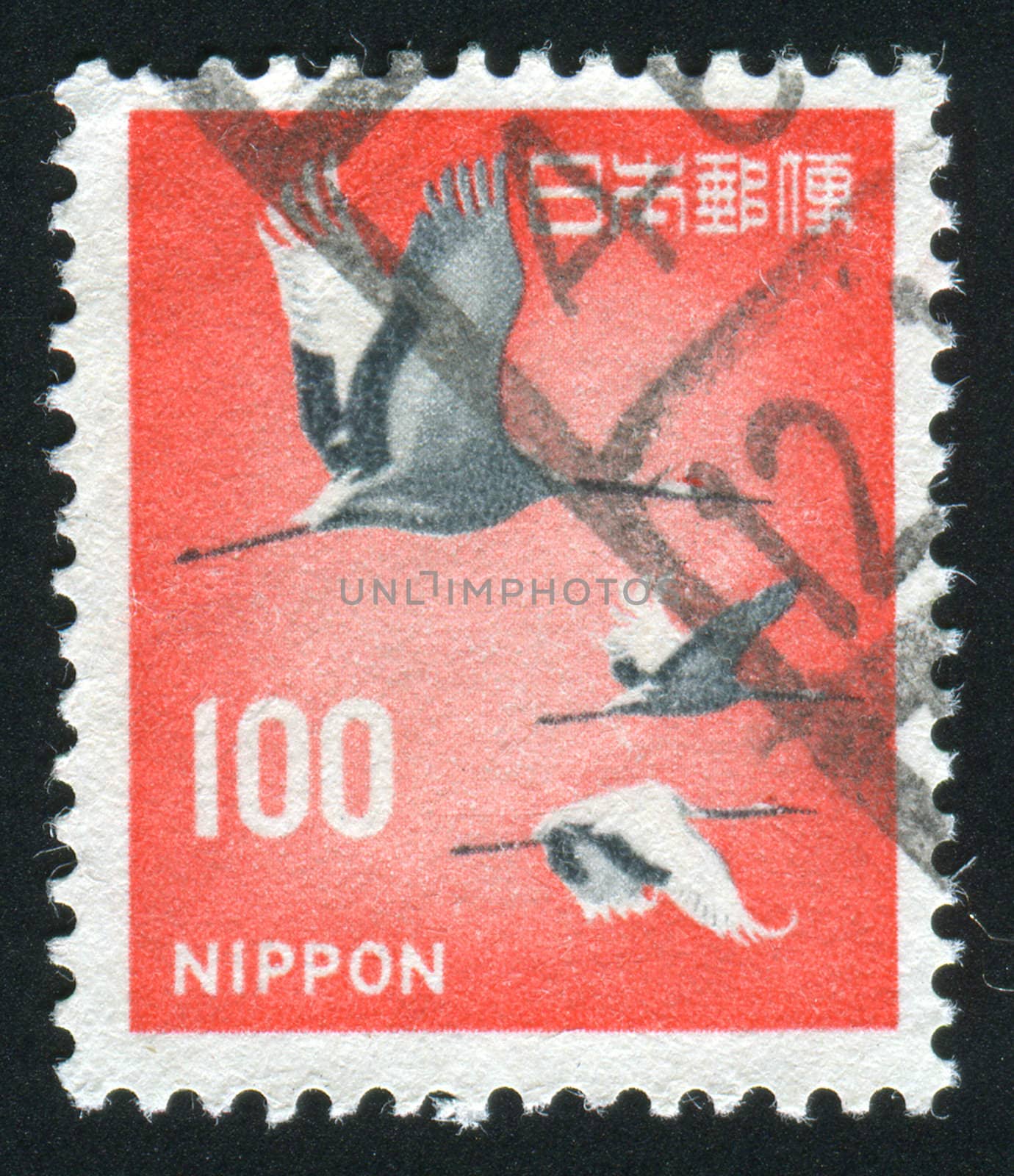 JAPAN - CIRCA 1962: The Japanese cranes. Flight of birds, circa 1962.