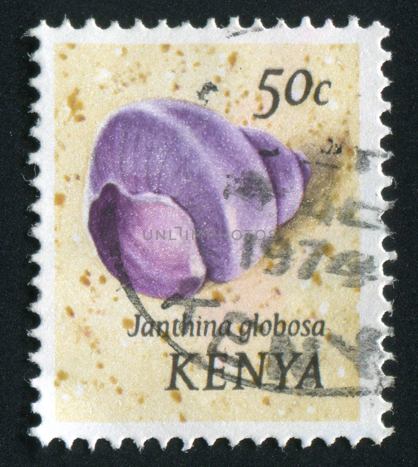 KENYA - CIRCA 1969: Gastropod shell is a shell which is part of the body of a gastropod or snail, circa 1969.