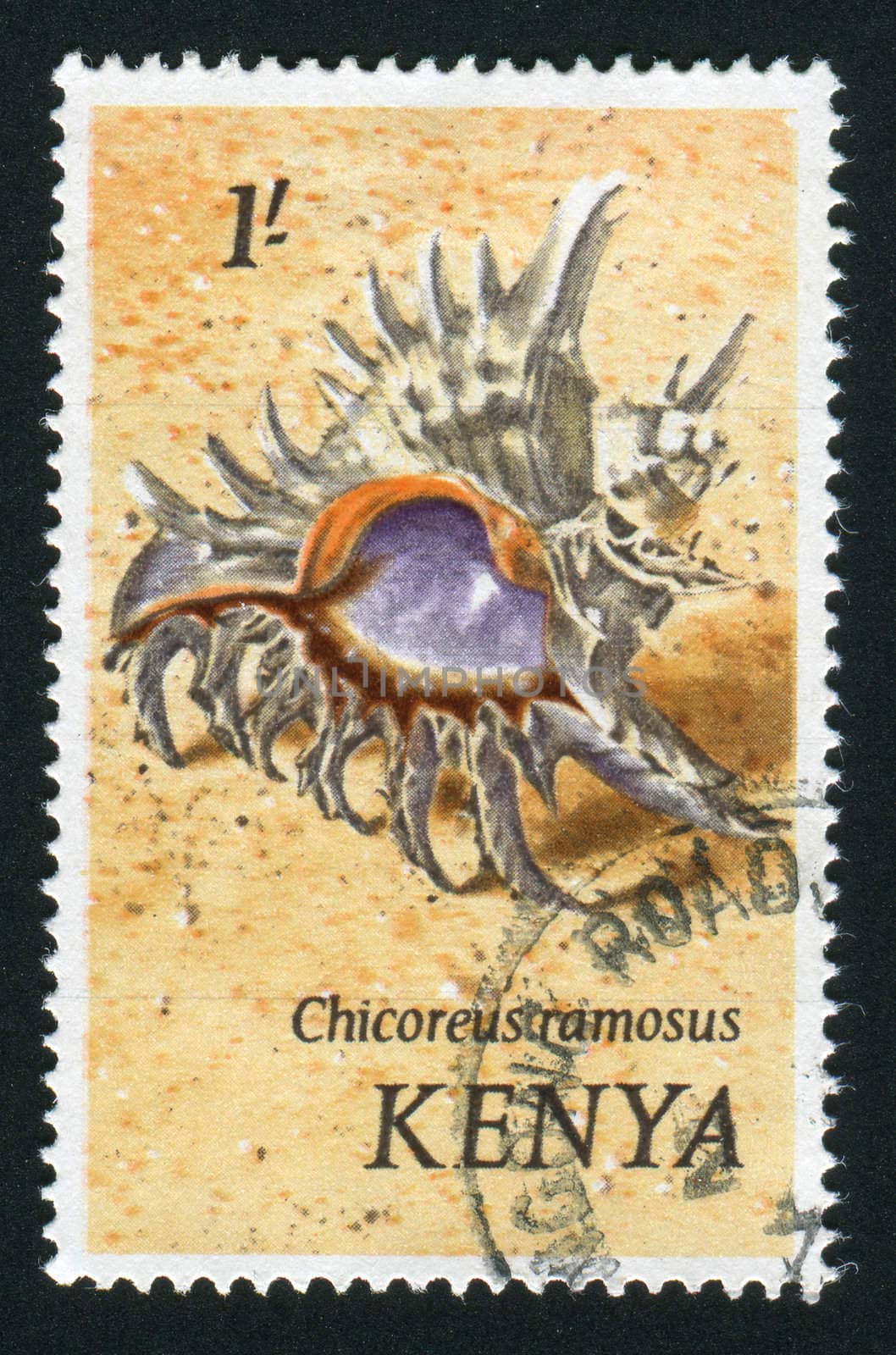 KENYA - CIRCA 1969: Gastropod shell is a shell which is part of the body of a gastropod or snail, circa 1969.